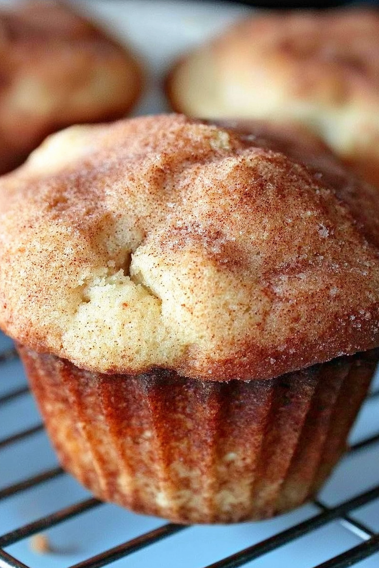 Snickerdoodle Muffins Recipe