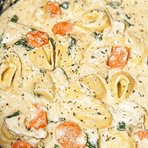 Chicken Tortellini Alfredo