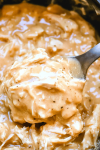 Crock Pot Chicken and Gravy