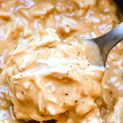 Crock Pot Chicken and Gravy
