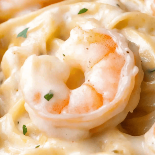 Fettuccine Alfredo with Shrimp