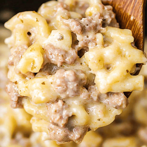 Ground Beef Alfredo