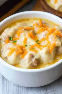 Instant Pot Chicken Dumplings
