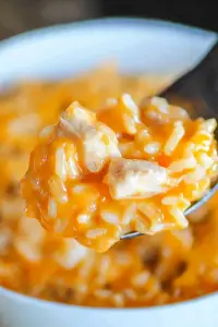 Instant Pot Chicken and Rice