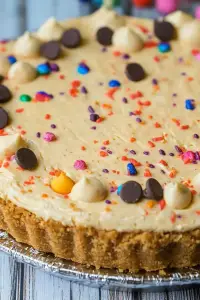 Rainbow Chip No-Bake Cheesecake