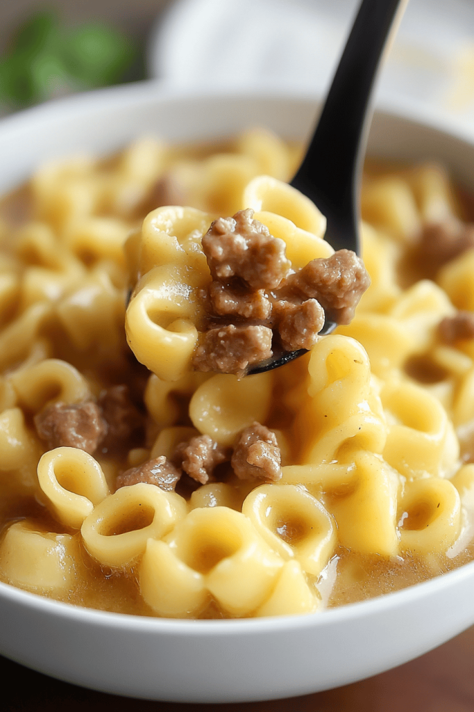 Instant Pot Ground Beef Noodles