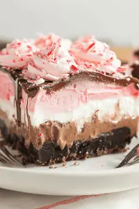 Chocolate Peppermint Lush Recipe