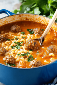 Meatball Soup Recipe