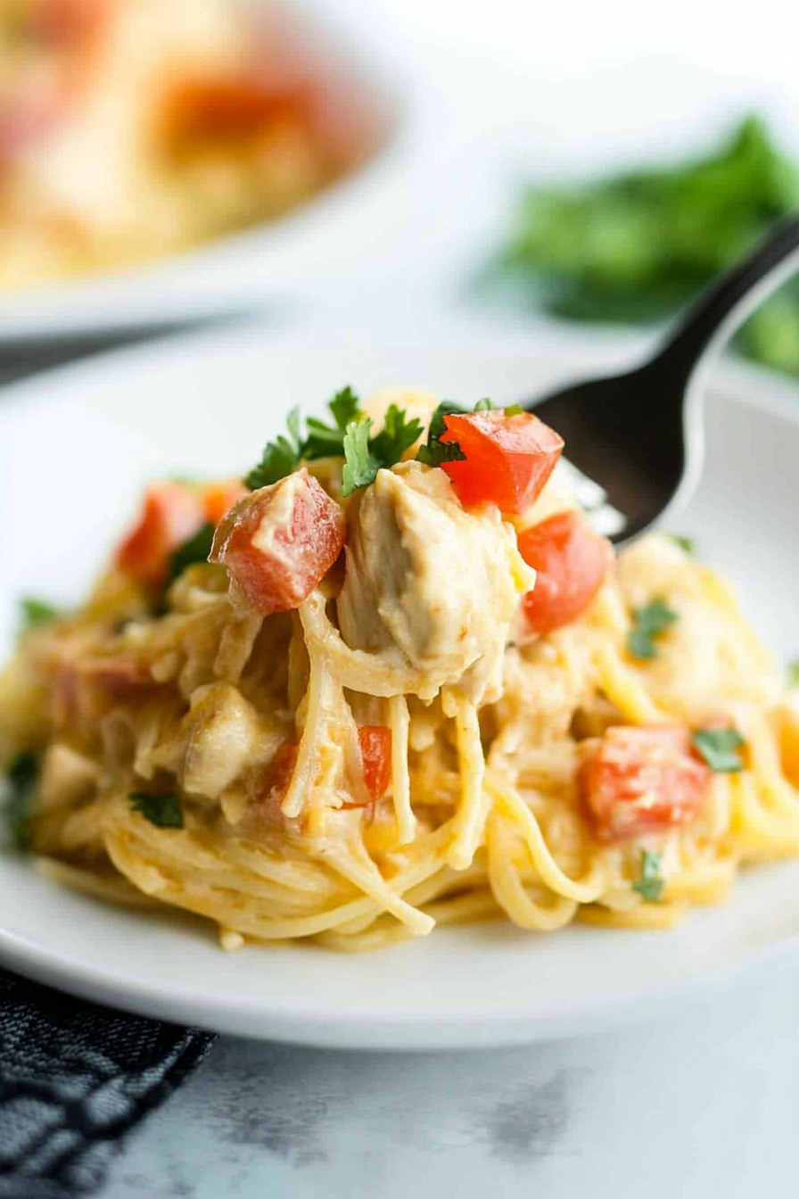 Mexican Chicken Spaghetti
