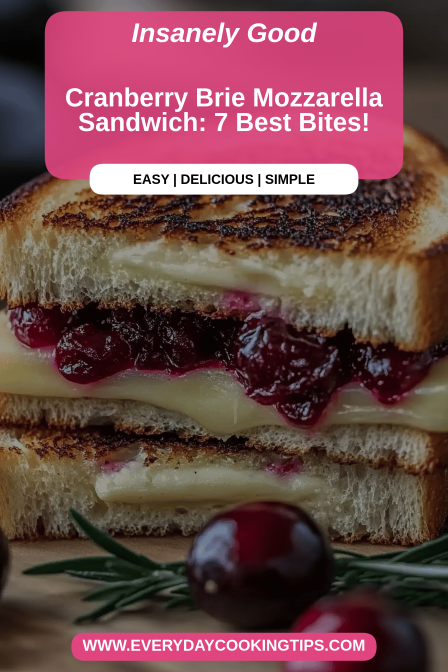 cranberry brie sandwich final dish beautifully presented and ready to serve