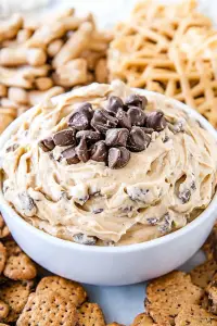 Peanut Butter Cookie Dip